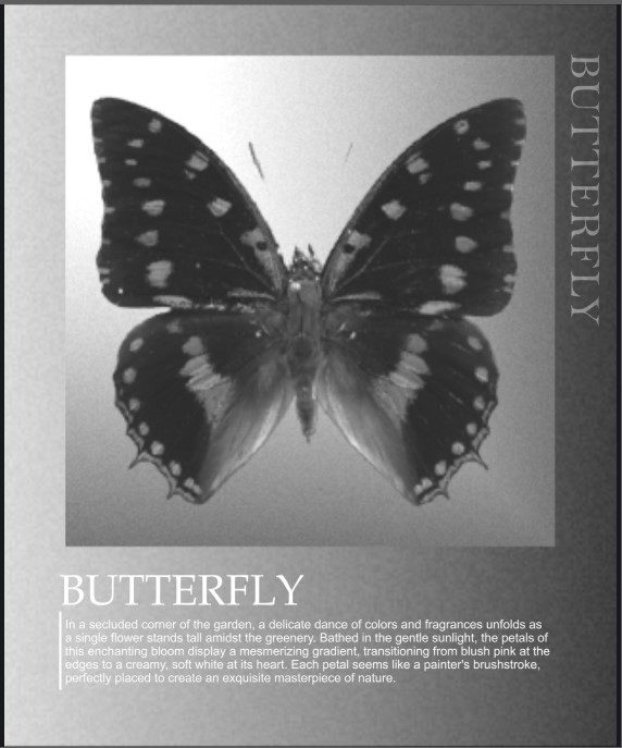 butterfly